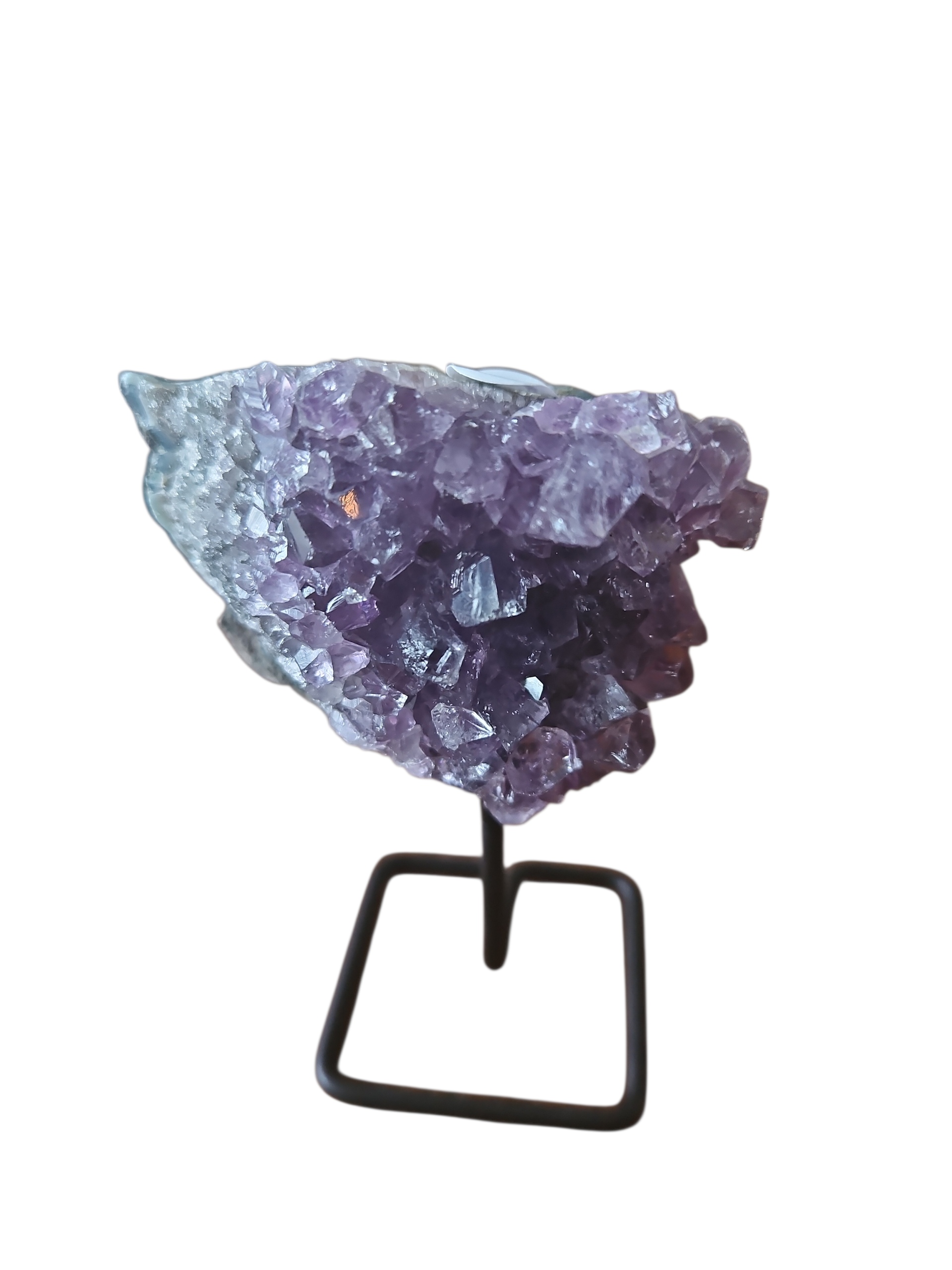 IMG_908629143286304310