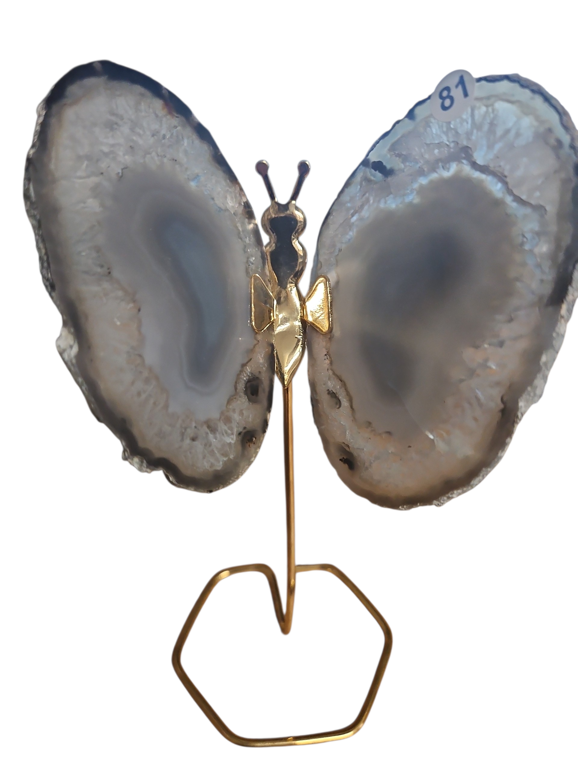 IMG_1041818681801032337