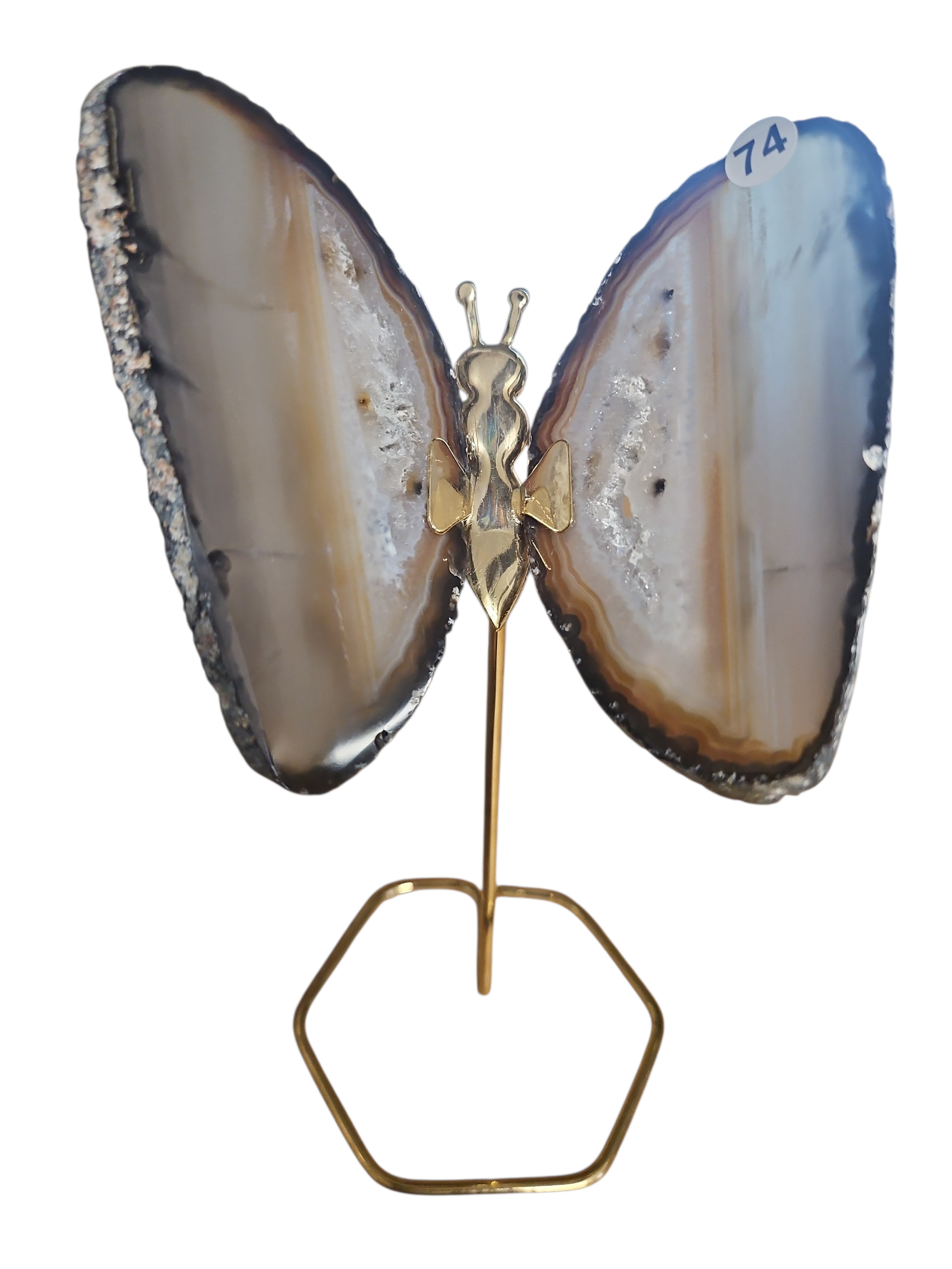 IMG_1317032660389025585