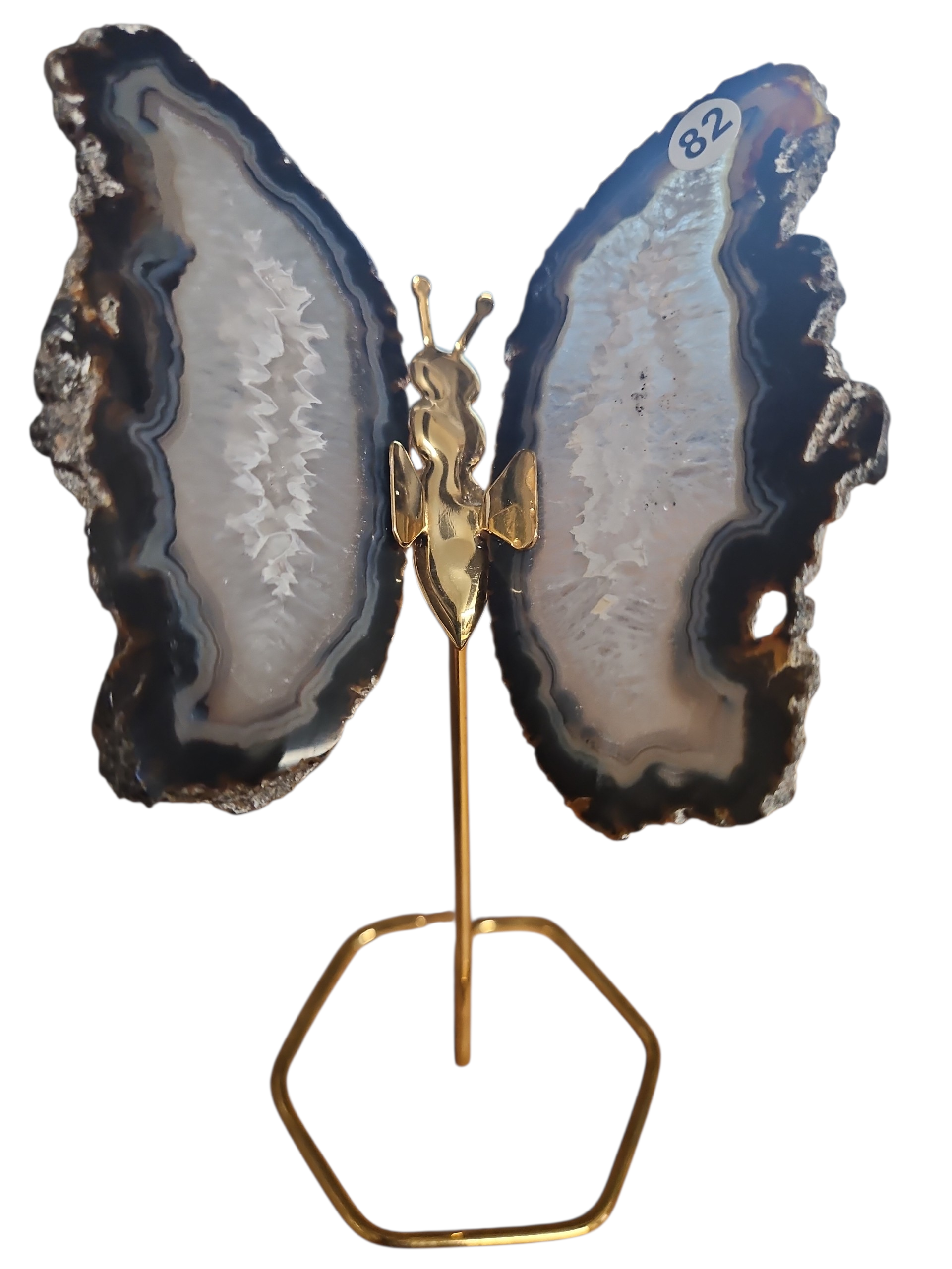 IMG_1524019886778307816