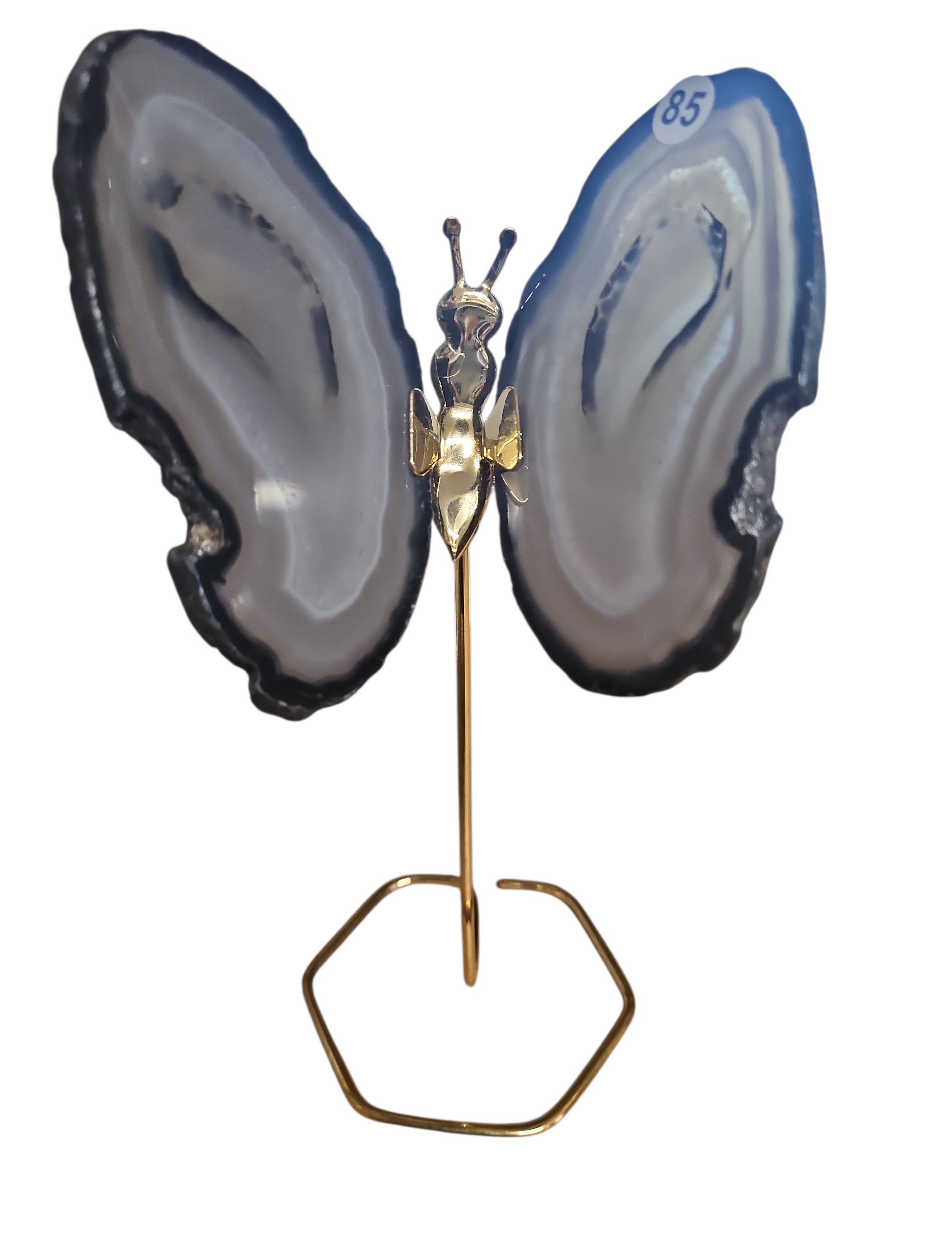 IMG_2980829650697365089