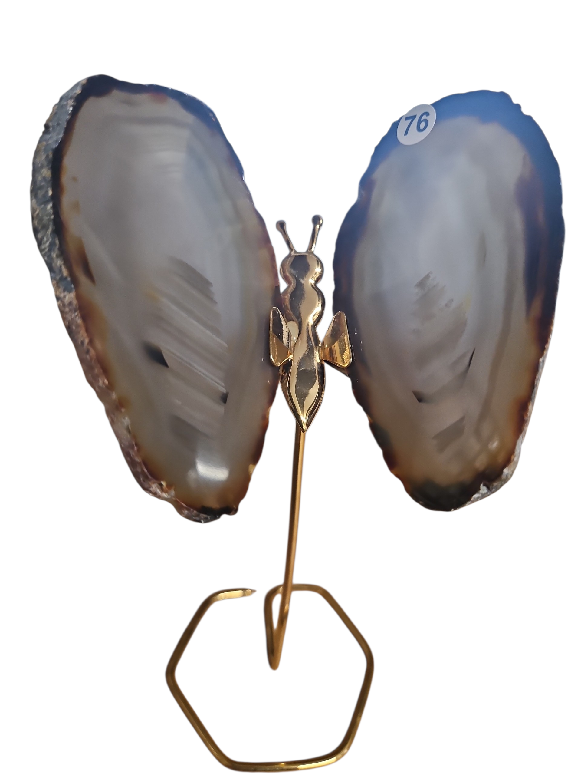 IMG_3225073207371200764