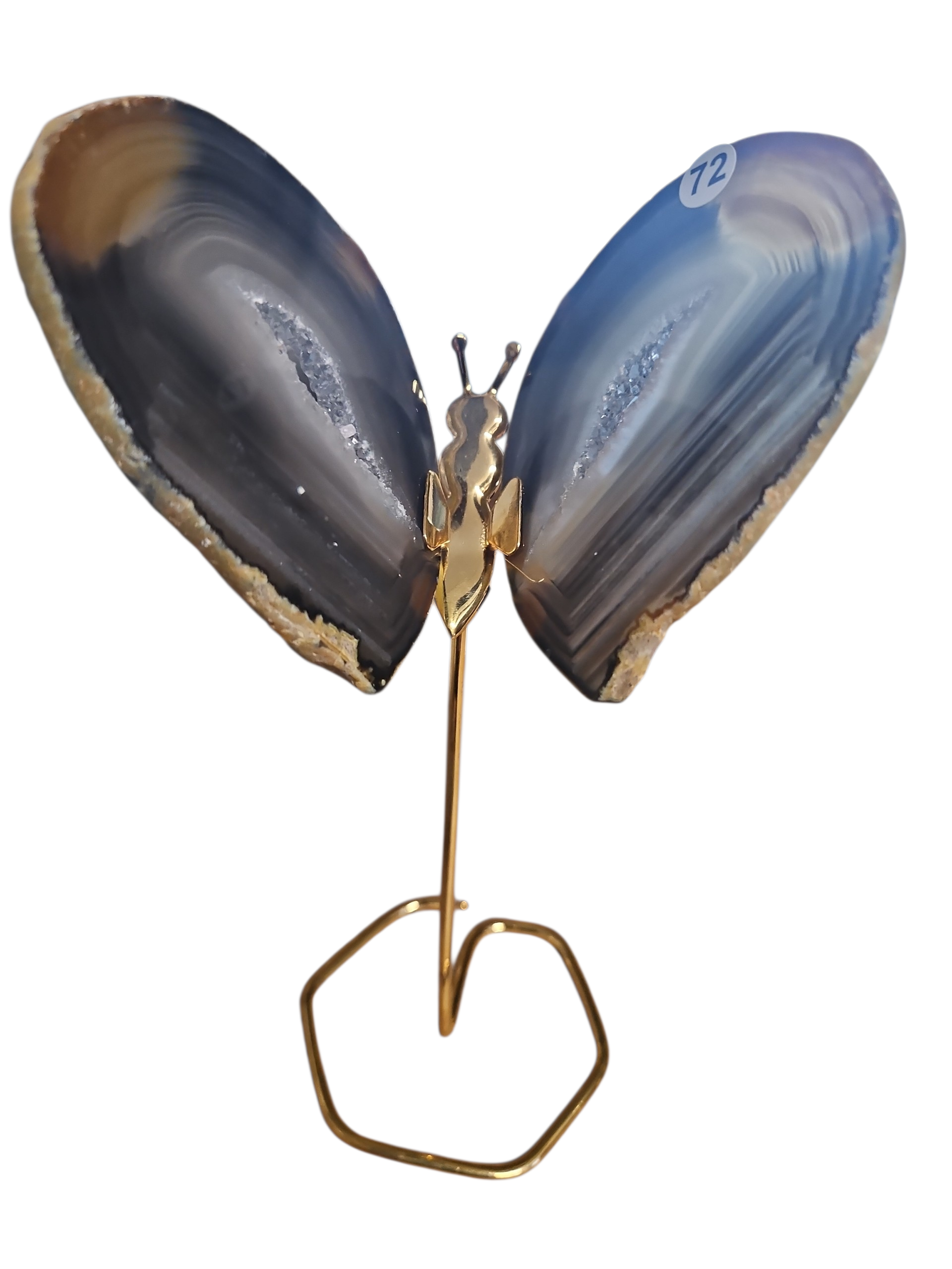 IMG_4708798917111971439