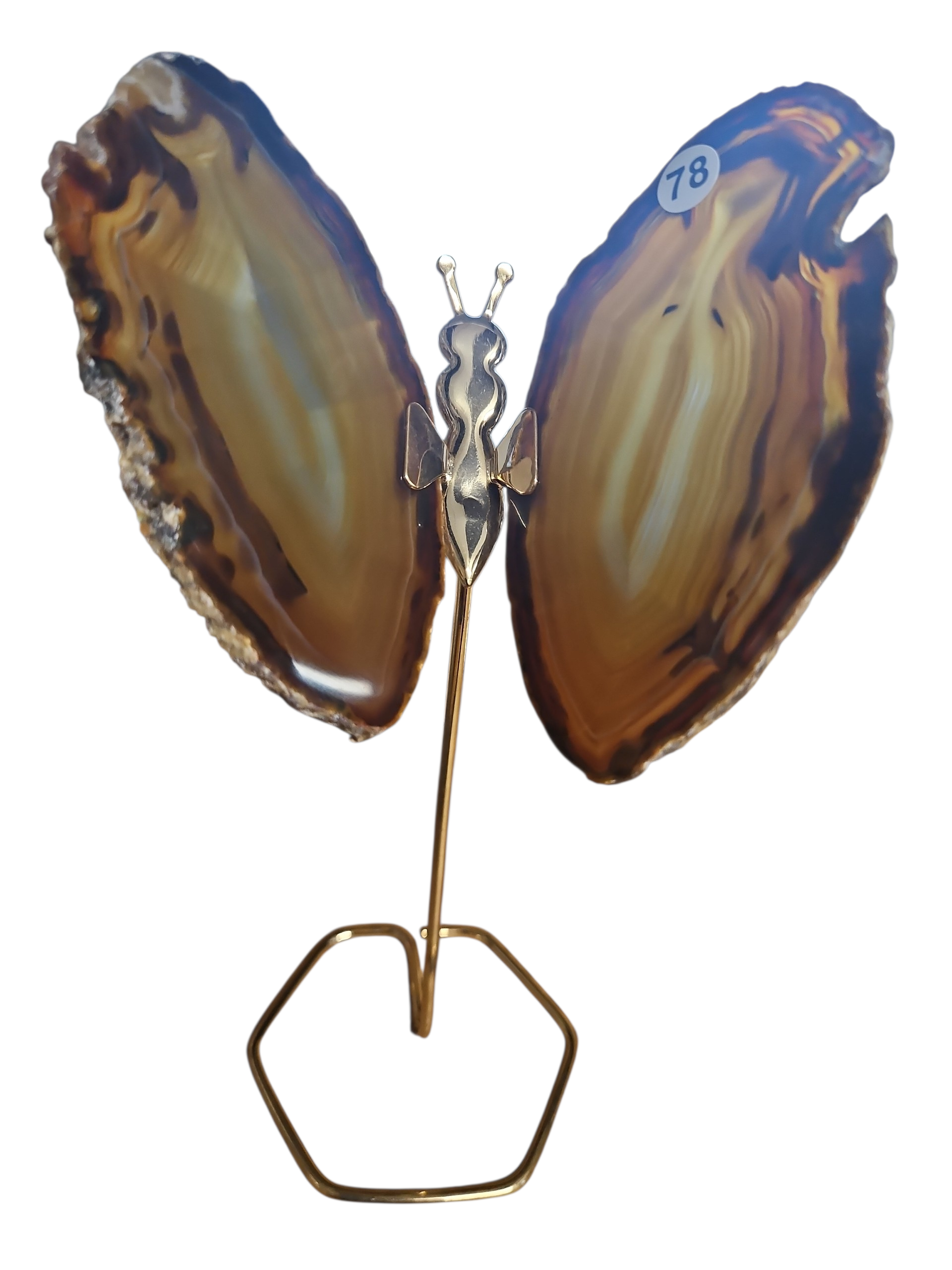 IMG_8908317584719542259