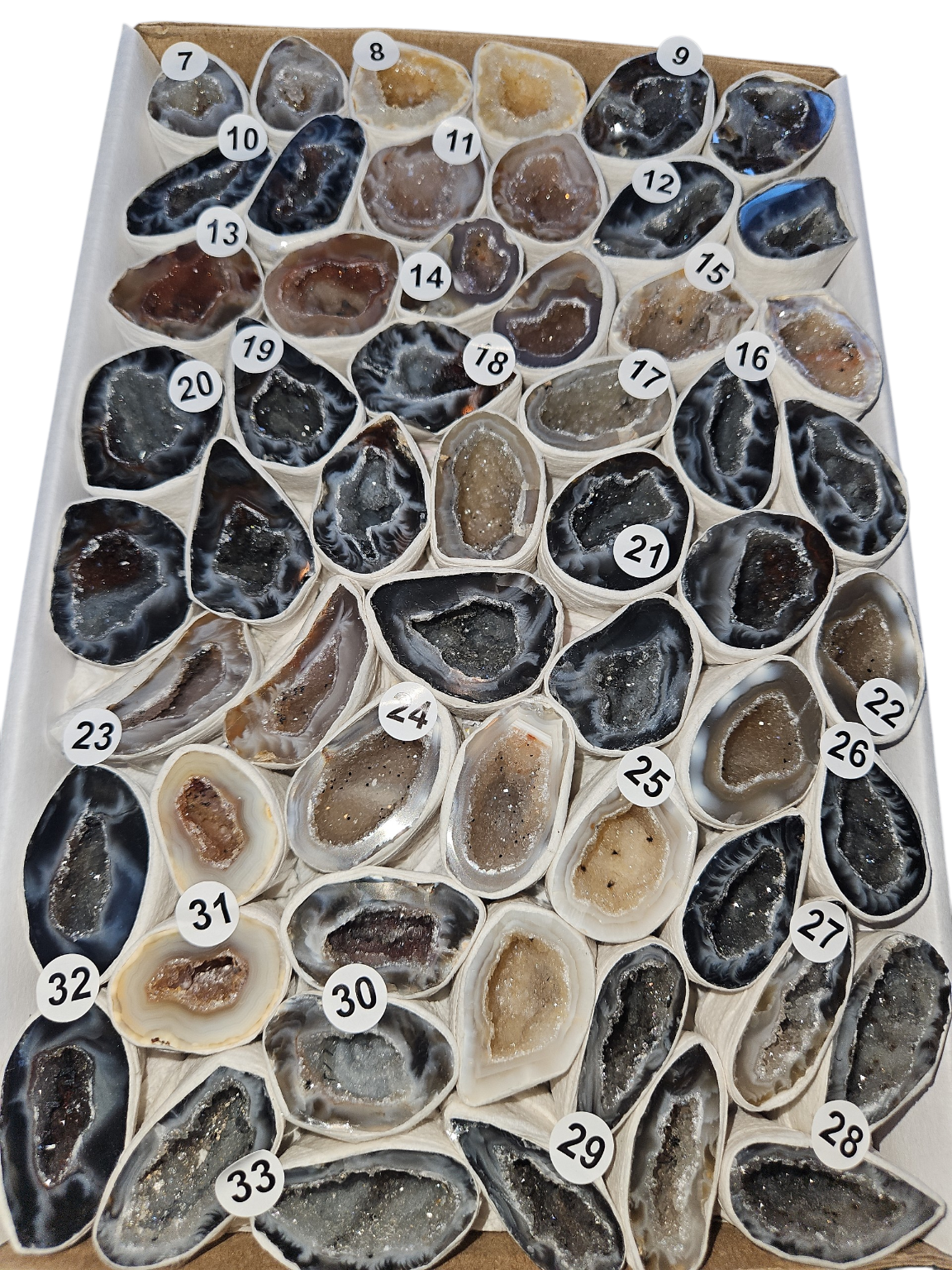 IMG_813249757468956546